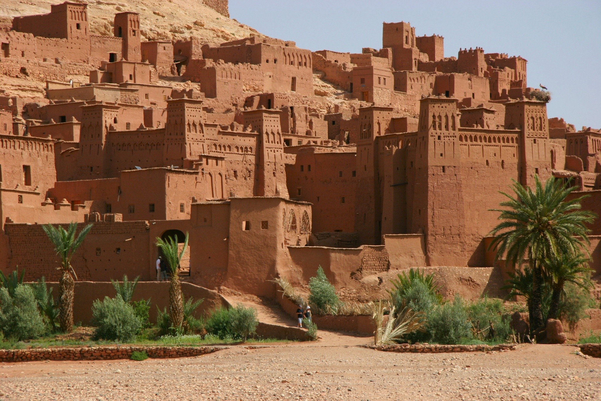Yassine Travel