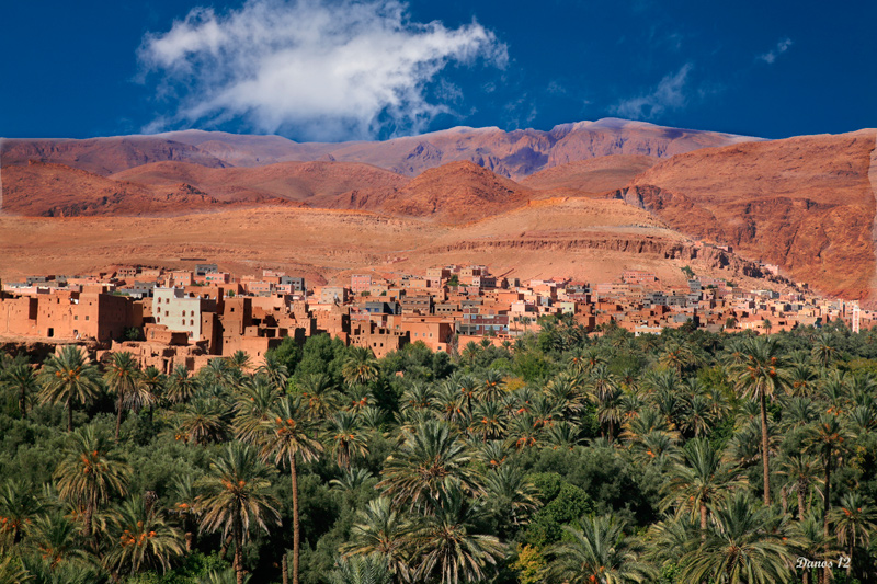 Yassine Travel