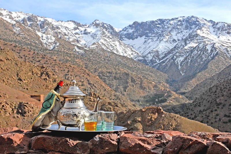 Yassine Travel