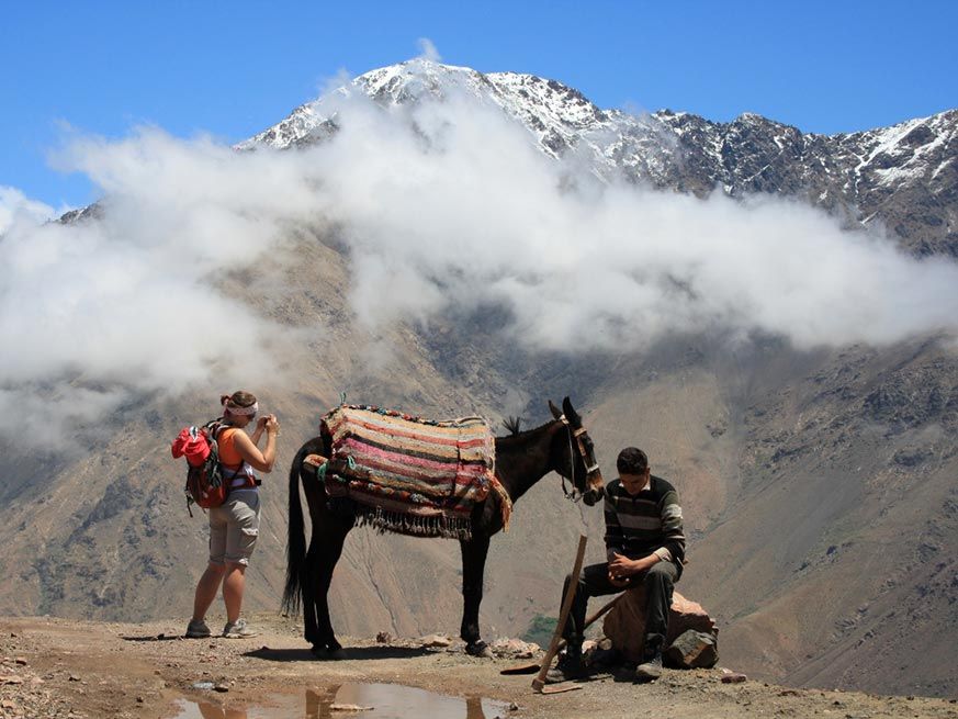 Yassine Travel