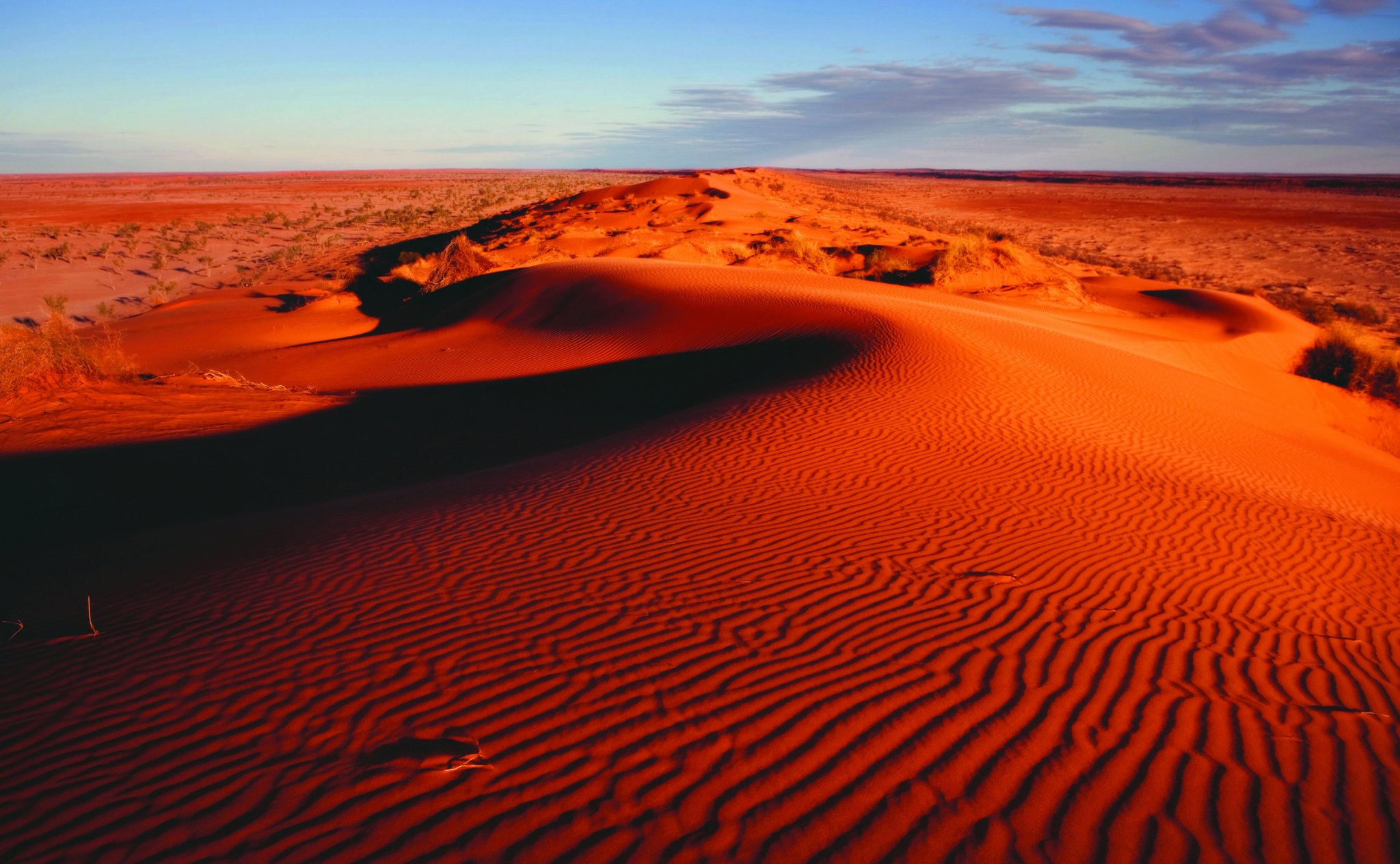 Yassine Travel