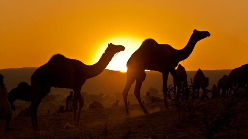 Yassine Travel