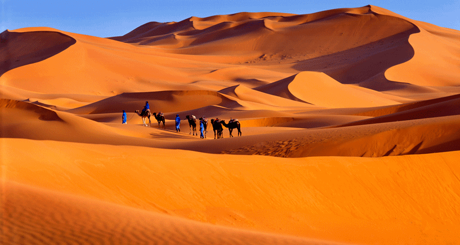 Yassine Travel
