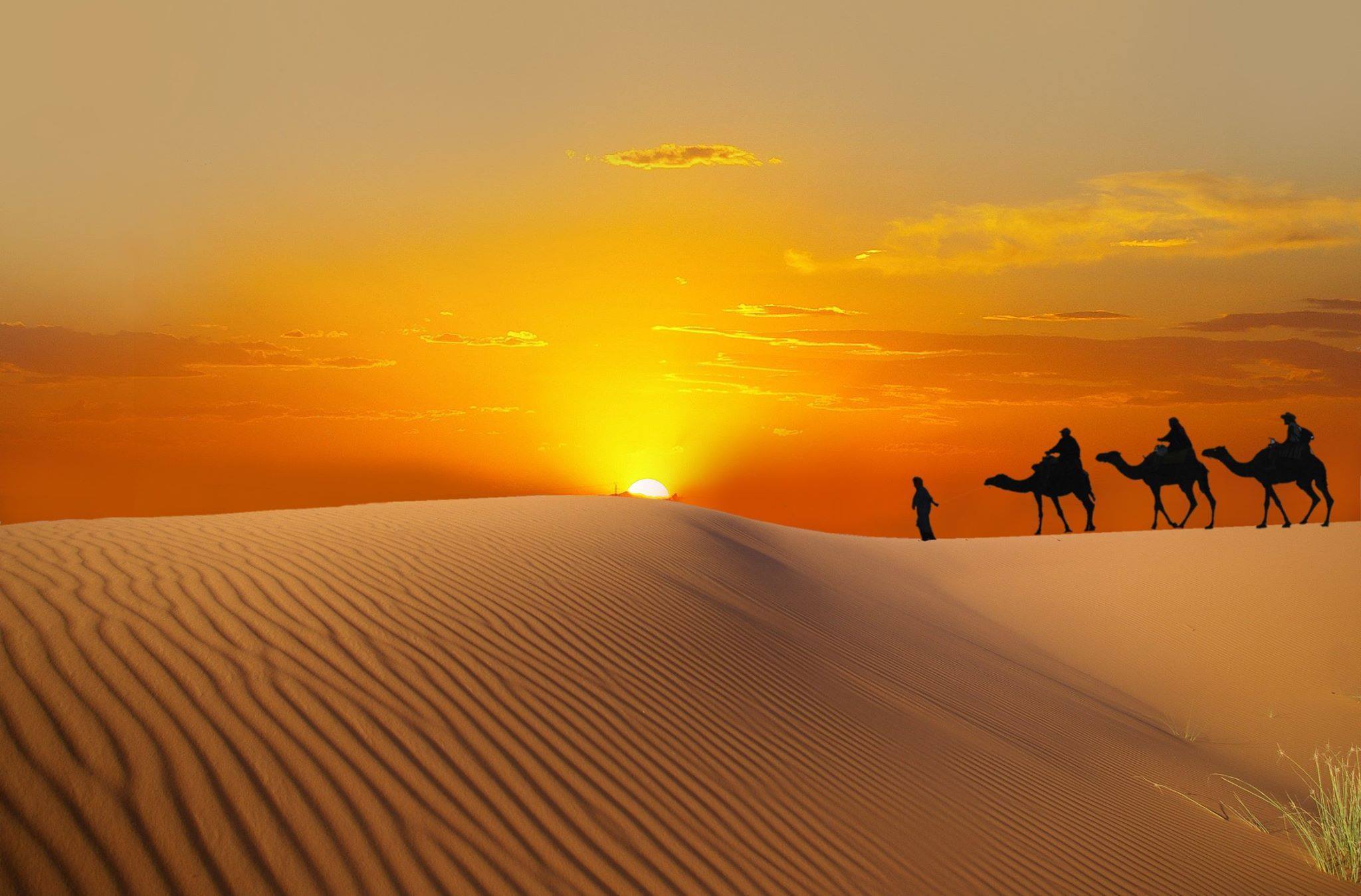 Yassine Travel