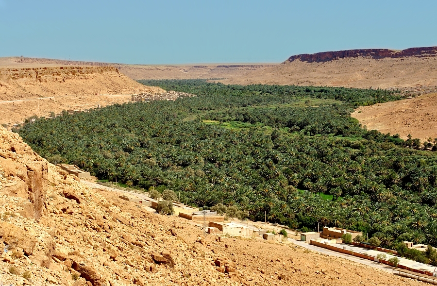 Yassine Travel