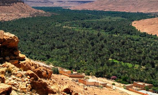 Yassine Travel