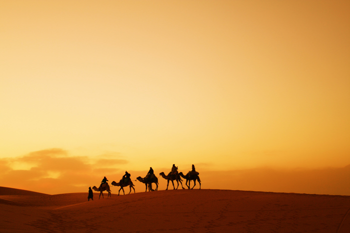 Yassine Travel