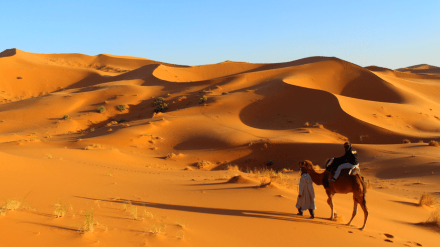 Yassine Travel
